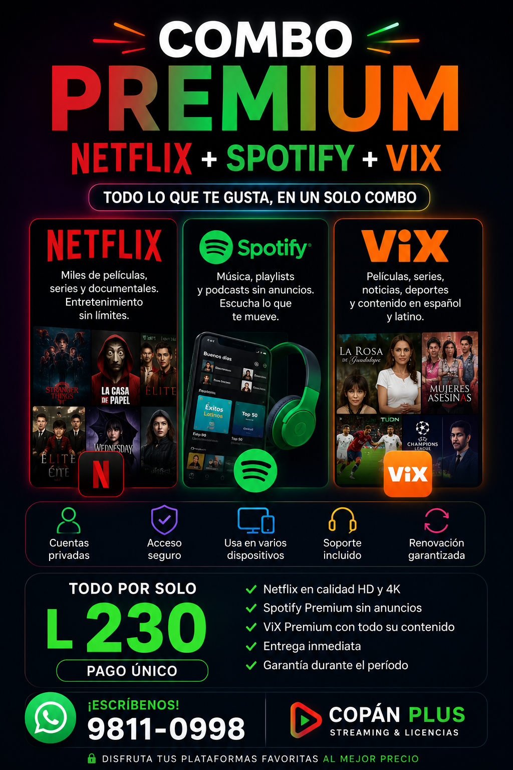 Netflix  Spotify Vix